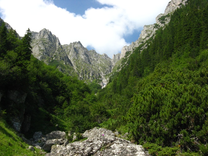 /meridionali1/img_7720.jpg