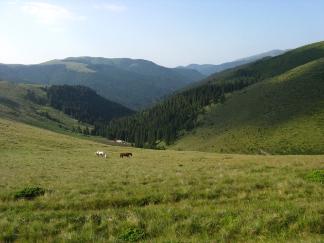 /meridionali1/img_7767.jpg
