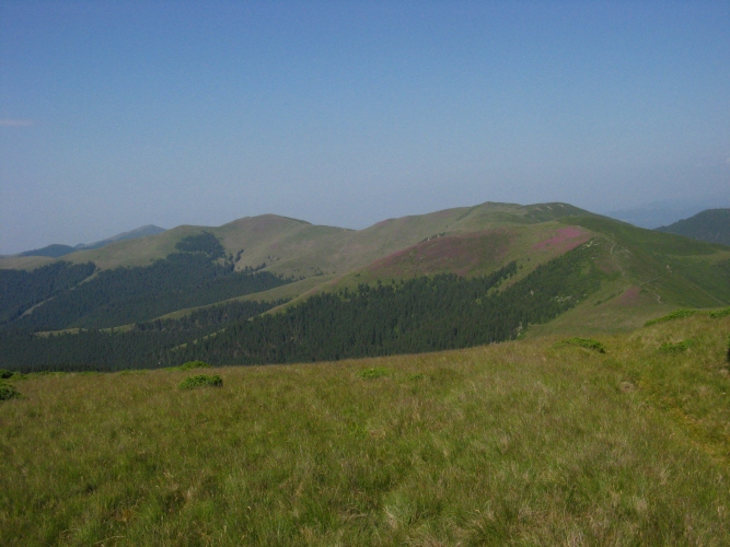 /meridionali1/img_7770.jpg