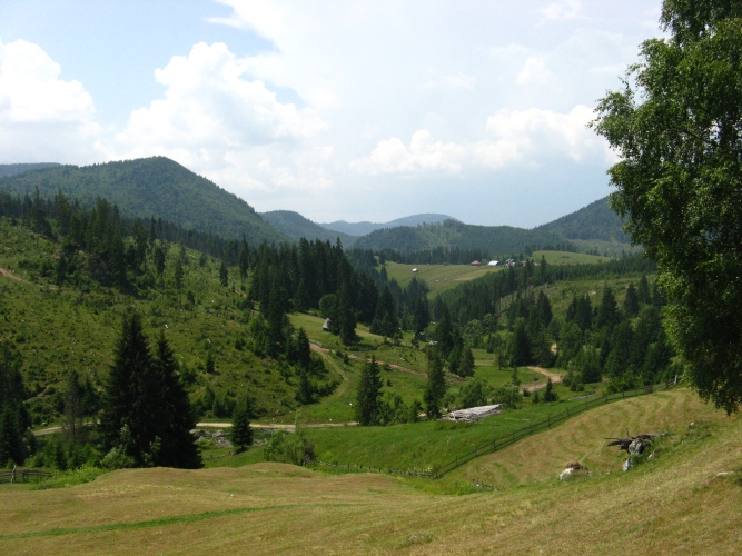 /meridionali1/img_7782.jpg