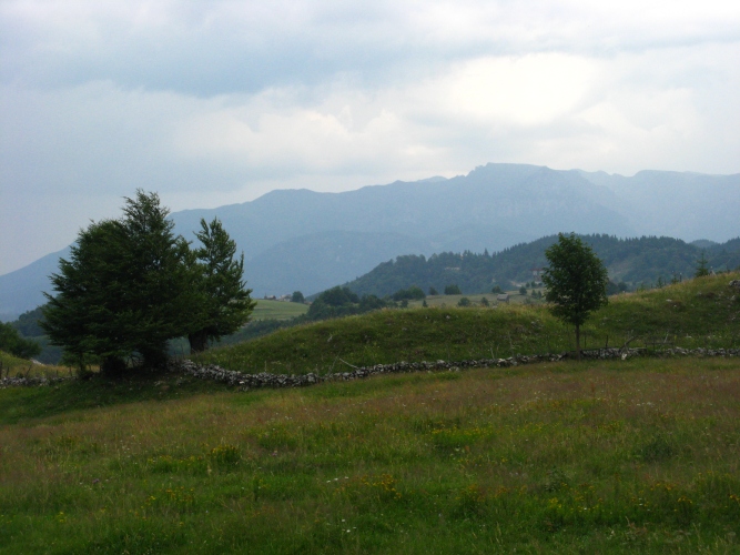 /meridionali1/img_7788.jpg