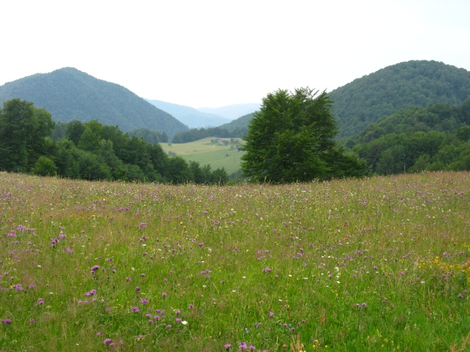 /meridionali1/img_7792.jpg