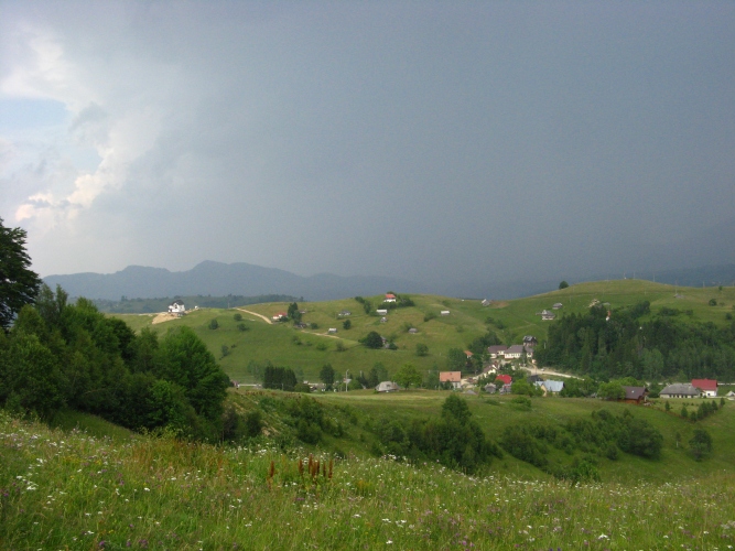 /meridionali1/img_7810.jpg