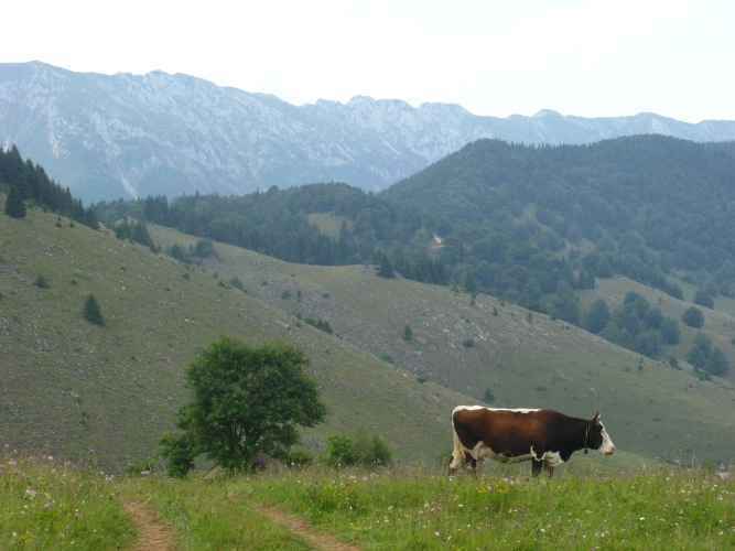 /meridionali1/img_7825.jpg
