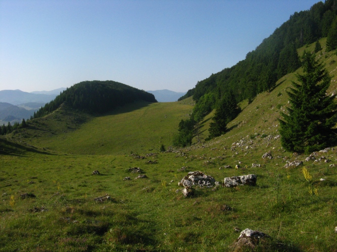 /meridionali1/img_7862.jpg