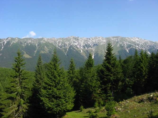 /meridionali1/img_7869.jpg