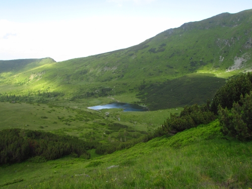 /rodnei02/img_9184.jpg