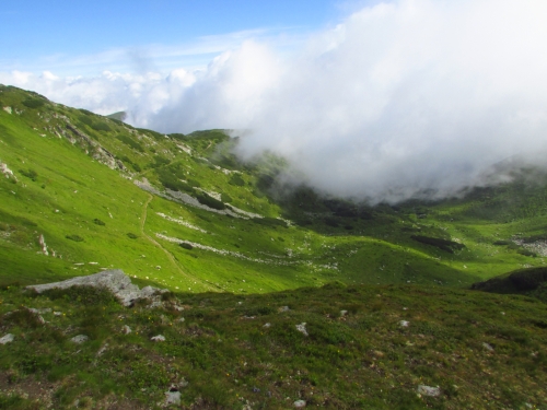 /rodnei02/img_9238.jpg
