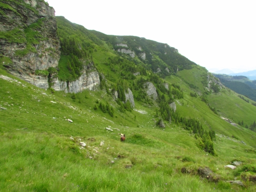 /rodnei031/img_9435.jpg