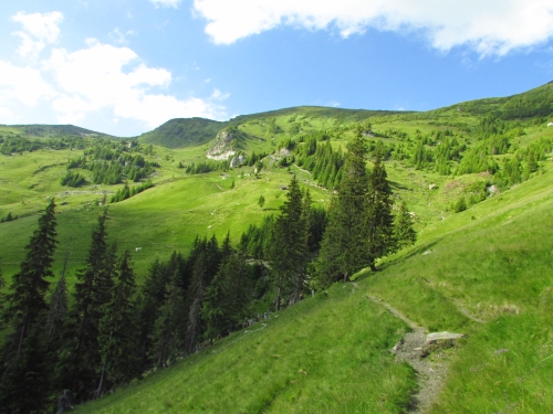 /rodnei031/img_9444.jpg