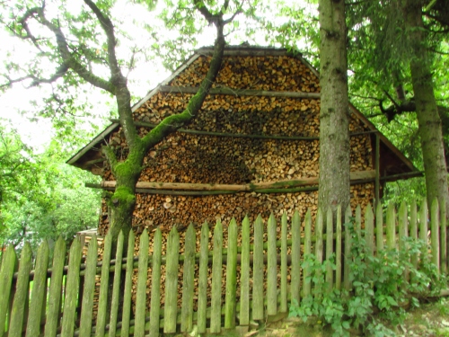 /rodnei04/img_9527.jpg