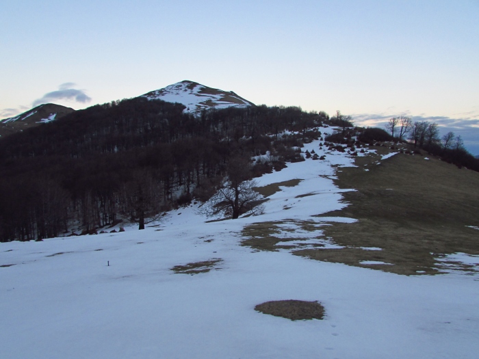 /tarcu1/copy_of_img_5301.jpg