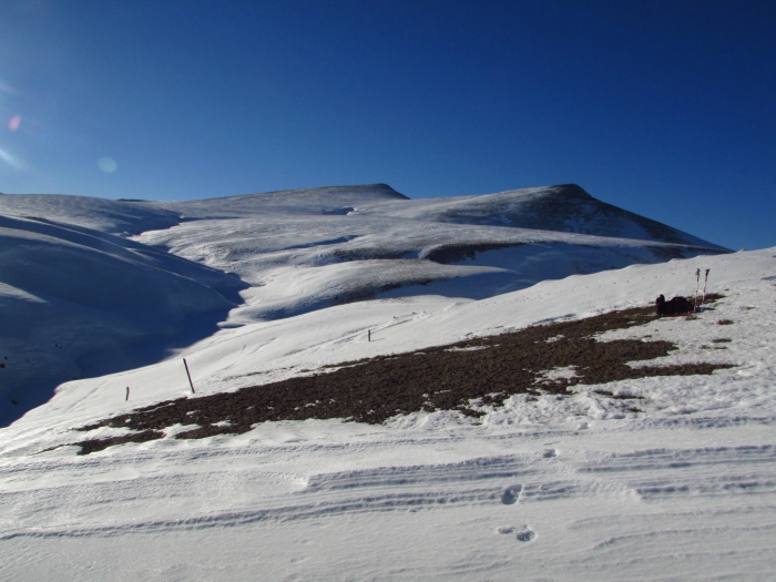 /tarcu3/img_5677.jpg