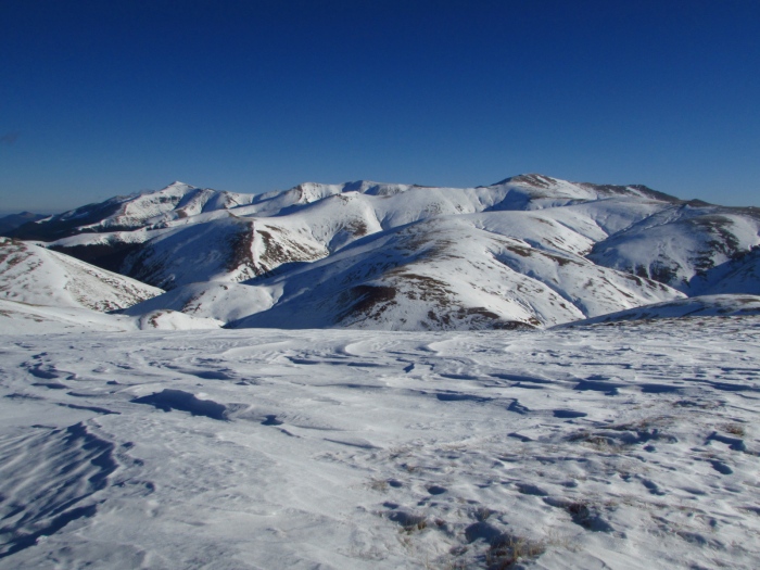 /tarcu3/img_5681.jpg
