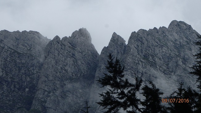 /Balaur/p7091137.jpg