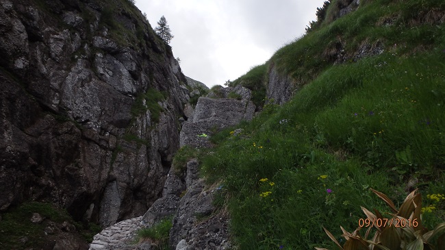 /Balaur/p7091492.jpg