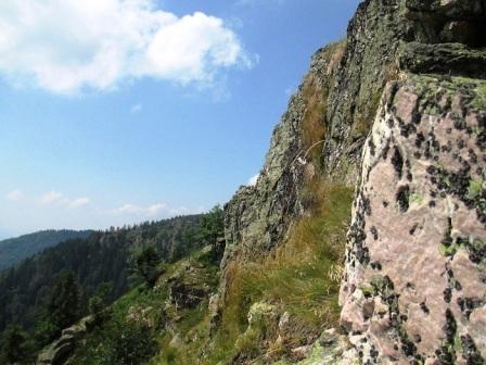 /Bohodei/img_1847.jpg