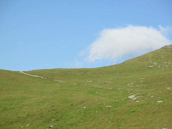 /Negoiu/img_1042.jpg