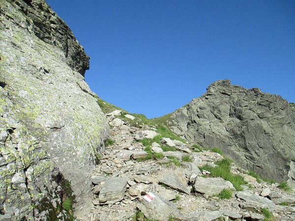 /Negoiu/img_1043.jpg