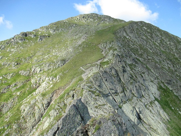 /Negoiu/img_1052.jpg