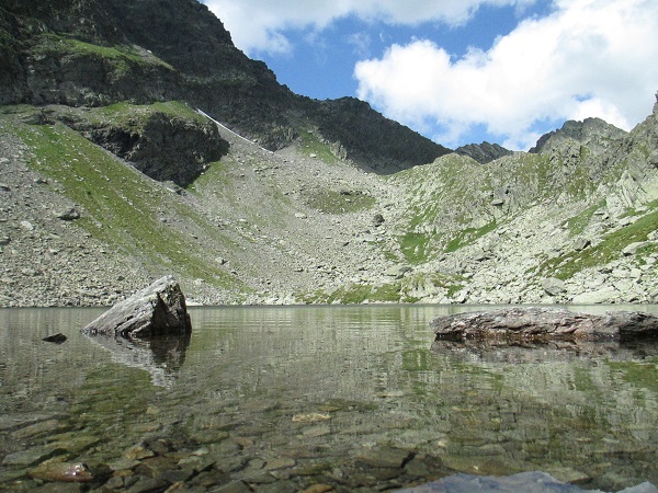 /Negoiu/img_1095.jpg