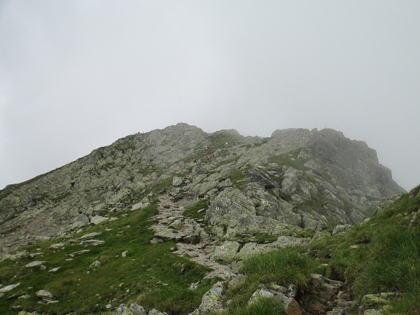 /Negoiu/img_1176.jpg