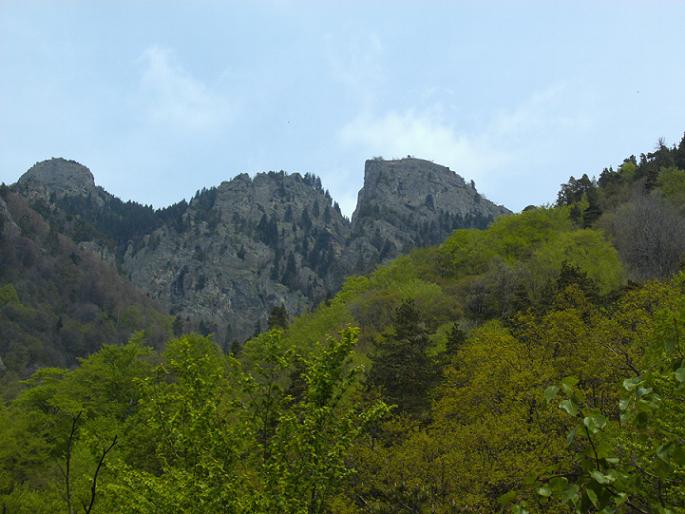 /cozia/pict0471.jpg