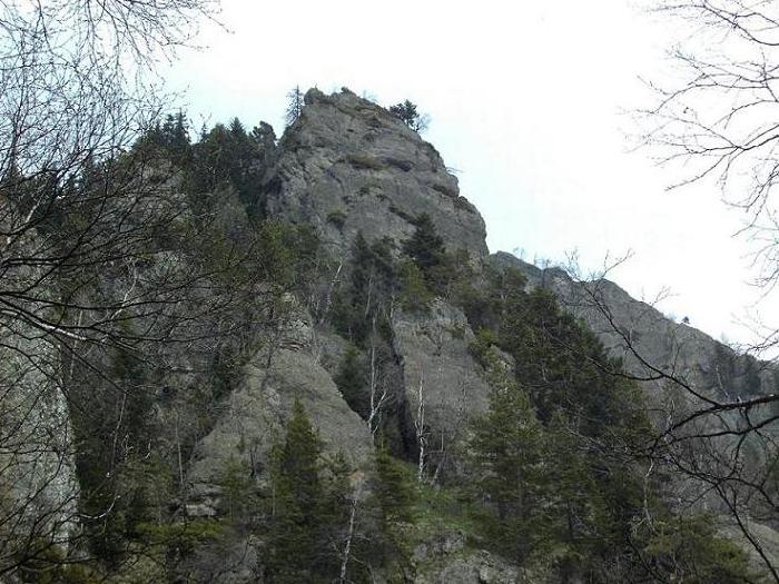 /cozia/pict0480.jpg