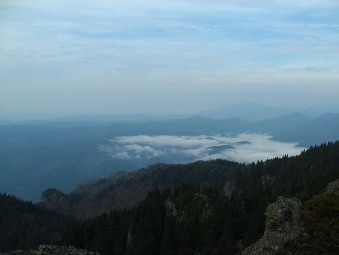 /cozia/pict0535.jpg