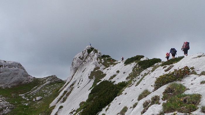 /jurnal/20140627_120653.jpg