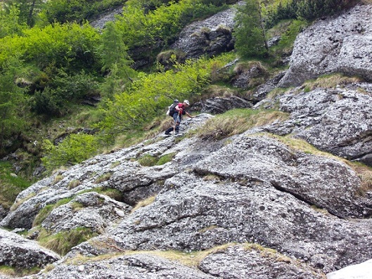 /valea/pict4802.jpg