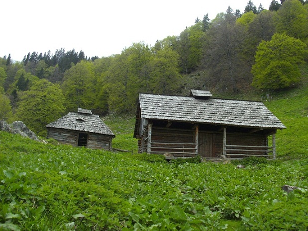 /vantrarita/pict4651.jpg