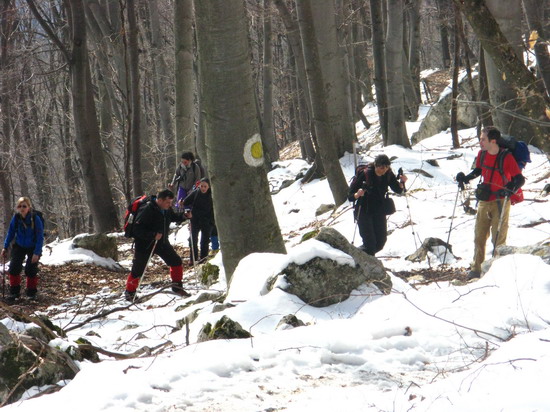 /zascolul/foto-3_014.jpg