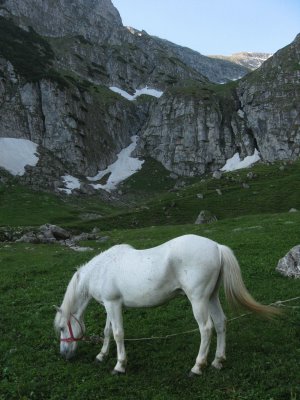 Carpati.org
