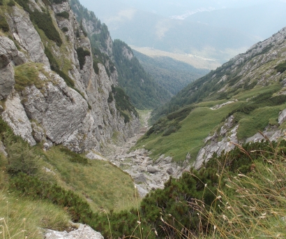 /costila/foto_29.jpg