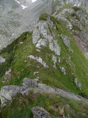 /laitel/foto_11.jpg