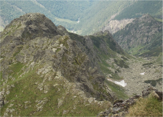 /laitel/foto_14.jpg