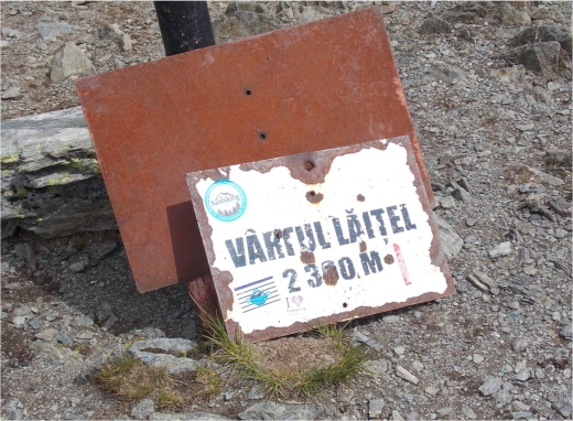 /laitel/foto_16.jpg