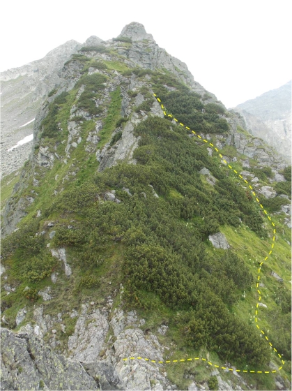 /laitel/foto_9.jpg