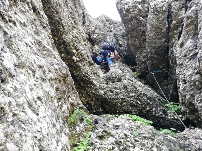 /portitelor/15_img_20190831_124929.jpg