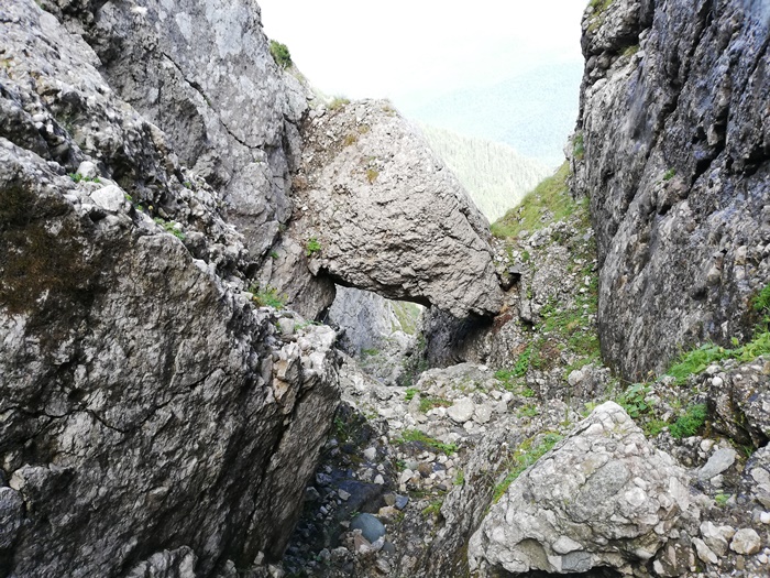 /portitelor/19_img_20190831_135010.jpg