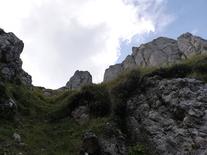 /portitelor/21_img_20190831_140927.jpg