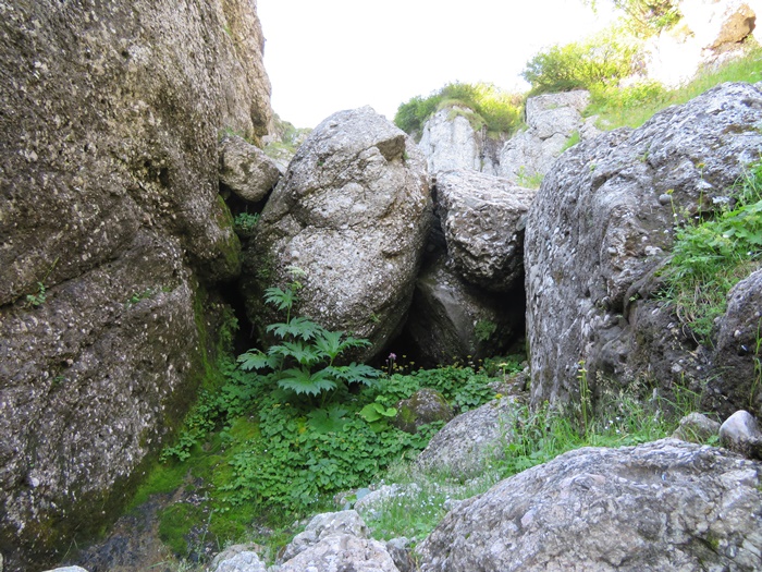 /portitelor/2_img_8018.jpg