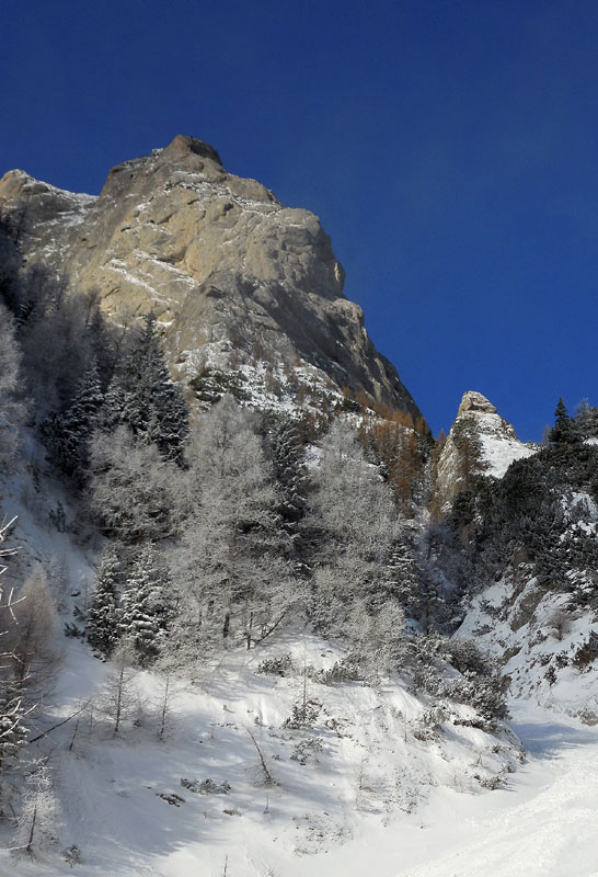 /Bucegi/dscn0272.jpg