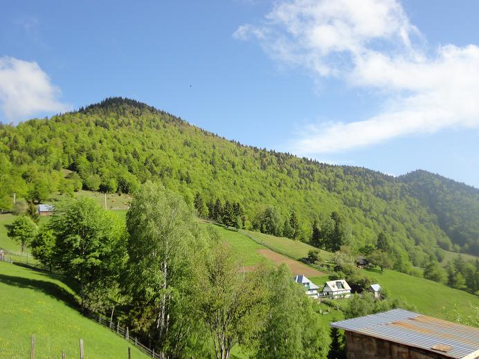 /Piatra/dsc02568.jpg