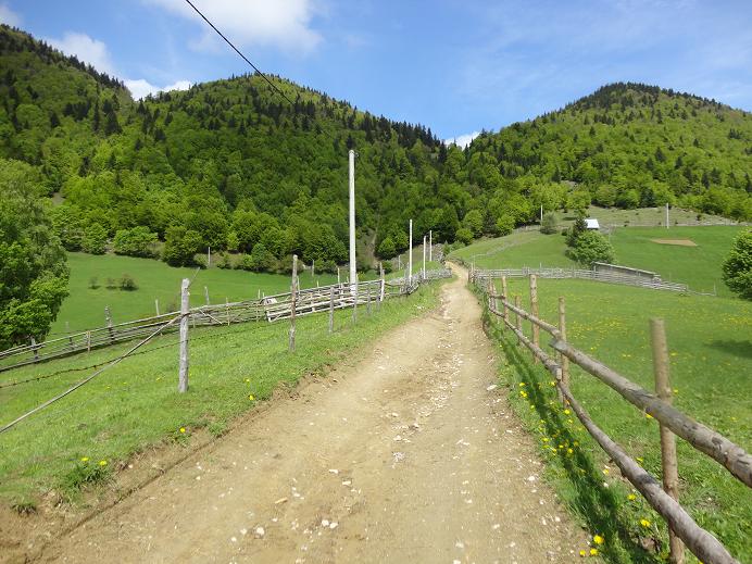 /Piatra/dsc02591.jpg