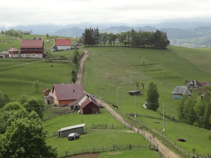 /Piatra/dsc02594.jpg