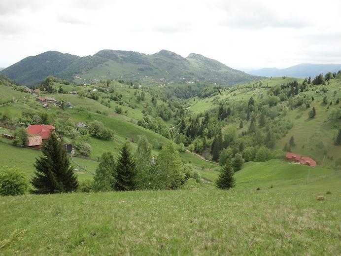 /Piatra/dsc02602.jpg