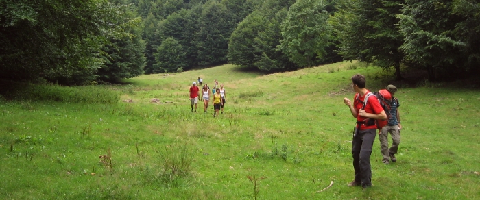 /balaceala/036_poiana.jpg