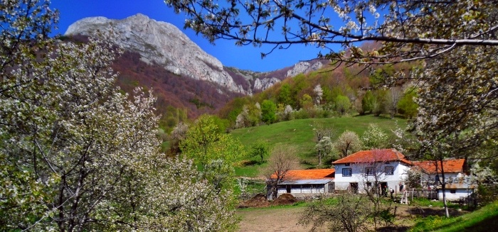 /cernei/012_casa_cu_laptele.jpg